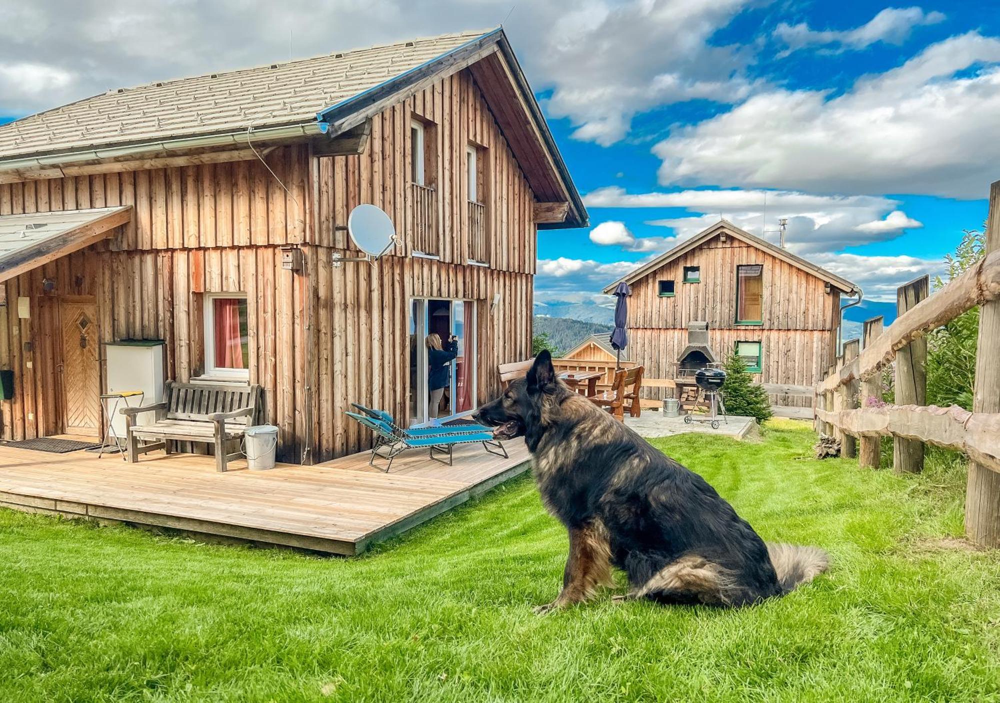 1A Chalet Nest - Grillen, Wandern, Panorama Sauna! Klippitztorl Экстерьер фото